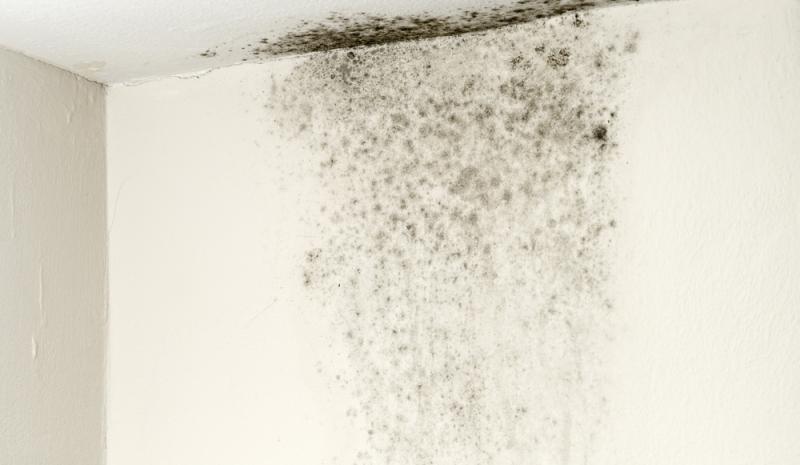 Risque de condensation, réalise un audit énergétique de votre maison ou appartement